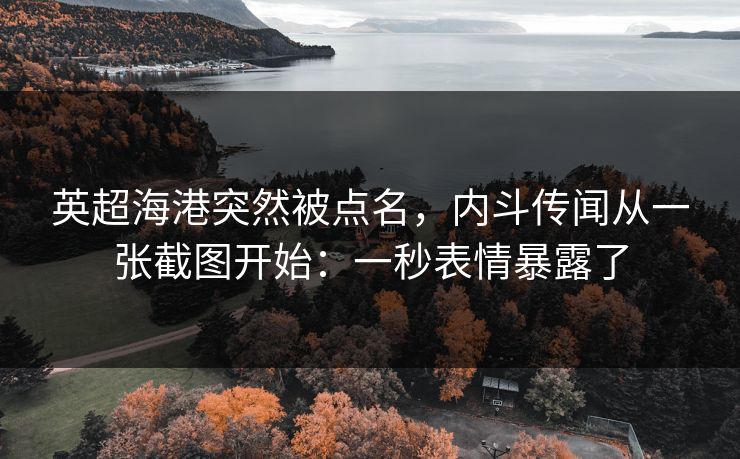 英超海港突然被点名,内斗传闻从一张截图开始:一秒表情暴露了