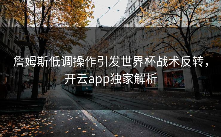 詹姆斯低调操作引发世界杯战术反转,开云app独家解析